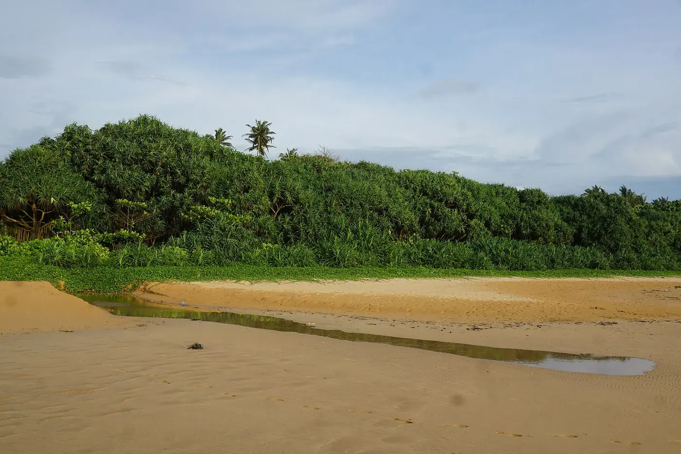 Bentota