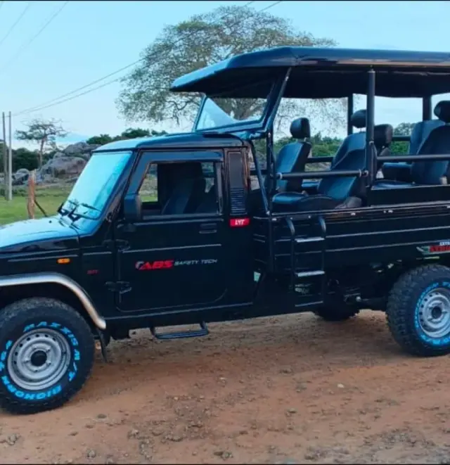 Safari Jeep